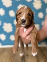 processed/71353459-c6b1-4231-b663-562456e87a6e/listing/e5206bec-36c2-4c54-9fbd-c921e88294cd/4395bc23-e12c-40dc-9de5-1a9fed9abf3b