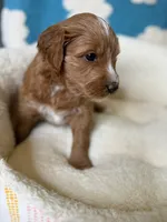 processed/71353459-c6b1-4231-b663-562456e87a6e/listing/e5206bec-36c2-4c54-9fbd-c921e88294cd/70524a9c-2f4d-4bce-880d-d359eb4ddd61