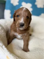 processed/71353459-c6b1-4231-b663-562456e87a6e/listing/e5206bec-36c2-4c54-9fbd-c921e88294cd/ca0e64a6-86d4-49ac-97b6-dd972a3abaf3