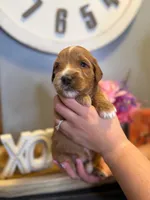 processed/71353459-c6b1-4231-b663-562456e87a6e/listing/e5206bec-36c2-4c54-9fbd-c921e88294cd/dd3bde99-d1b6-4929-a29d-3b9a1a9a9166