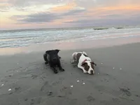 processed/713540ab-6683-449f-a5bb-7d0f56759dbf/listing/09397224-d788-44fa-94ff-6d2e7cbac441/4b5bc0d2-af23-49aa-bad5-5992cb9c6212