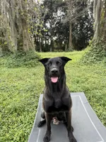 processed/713540ab-6683-449f-a5bb-7d0f56759dbf/listing/09397224-d788-44fa-94ff-6d2e7cbac441/6eaf0752-3c71-4b24-b3b9-4c6ff59cbaa0