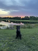 processed/713540ab-6683-449f-a5bb-7d0f56759dbf/listing/09397224-d788-44fa-94ff-6d2e7cbac441/fc6dcbdc-711c-4b67-97d9-0e1a92142832