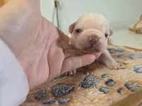 processed/71386911-b557-41fa-884c-442169903857/listing/22d779fa-8e10-4b5e-ba8b-75faaee3adf7/b675a712-78fb-458e-a390-ec5da7d32d2a