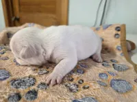 processed/71386911-b557-41fa-884c-442169903857/listing/22d779fa-8e10-4b5e-ba8b-75faaee3adf7/c534eaef-3d93-46fd-ad25-f7a7c974a009