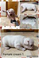 processed/71386911-b557-41fa-884c-442169903857/listing/22d779fa-8e10-4b5e-ba8b-75faaee3adf7/c63710ed-00b1-4e0e-8459-516ca0eea096