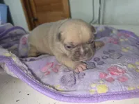 processed/71386911-b557-41fa-884c-442169903857/listing/5bb86e71-61cb-4d83-8593-45d836618066/0b5f870b-a38e-41bb-ba0f-f37164c290ae