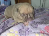 processed/71386911-b557-41fa-884c-442169903857/listing/5bb86e71-61cb-4d83-8593-45d836618066/4689274d-93c1-4f08-b296-7a1aa343f3f8