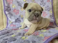 processed/71386911-b557-41fa-884c-442169903857/listing/5bb86e71-61cb-4d83-8593-45d836618066/9034be75-acef-45b8-99ce-5c2c912c7911