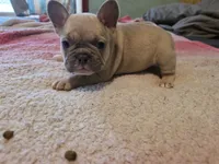 processed/71386911-b557-41fa-884c-442169903857/listing/5bb86e71-61cb-4d83-8593-45d836618066/99545869-d00c-4515-87f2-367fb0323a0a