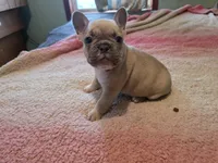 processed/71386911-b557-41fa-884c-442169903857/listing/5bb86e71-61cb-4d83-8593-45d836618066/c636d090-9fa6-4e4a-8026-f6b8b29d5902