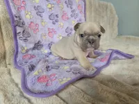 processed/71386911-b557-41fa-884c-442169903857/listing/5bb86e71-61cb-4d83-8593-45d836618066/e4aedf2e-c937-41eb-b487-70975bb6f994