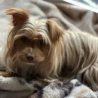 processed/713910b3-b55f-4513-b682-c77fb0a7c51d/facility/51687b10-a6d1-42b1-855a-9957039bcd1e