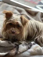 processed/713910b3-b55f-4513-b682-c77fb0a7c51d/facility/51687b10-a6d1-42b1-855a-9957039bcd1e