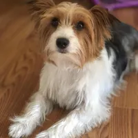 processed/713910b3-b55f-4513-b682-c77fb0a7c51d/facility/530ecb24-0369-422d-b959-de512a5a238b