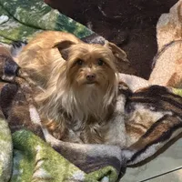 processed/713910b3-b55f-4513-b682-c77fb0a7c51d/facility/a5442a3e-5985-44d0-8272-dc8ddc1b222d