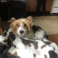 processed/713910b3-b55f-4513-b682-c77fb0a7c51d/facility/d0d003b2-67a3-4917-9d72-ac024ea36696