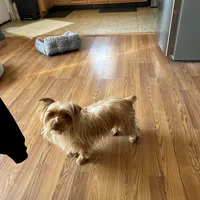 processed/713910b3-b55f-4513-b682-c77fb0a7c51d/facility/fe84f182-16ef-4f95-b84b-834ebe24429a