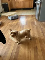 processed/713910b3-b55f-4513-b682-c77fb0a7c51d/facility/fe84f182-16ef-4f95-b84b-834ebe24429a