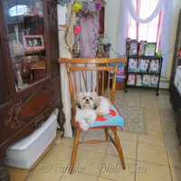 processed/7141b867-a54d-4b8e-96cf-074689e0ba0f/facility/f60e13d4-fa3d-4a0d-a1ee-ff2d009580f5