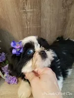 processed/7141b867-a54d-4b8e-96cf-074689e0ba0f/listing/13f3bb15-a5c9-4df7-b6ed-b65046d05322/fb700433-ea70-491d-afa5-66ceccc605a2