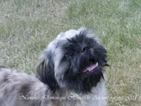 processed/7141b867-a54d-4b8e-96cf-074689e0ba0f/listing/22bab3f5-45cd-4b9a-8fe9-4b5b703a2bf6/7cc083cb-ace7-406e-900c-dff665d1fc57