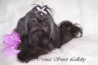 processed/7141b867-a54d-4b8e-96cf-074689e0ba0f/listing/22bab3f5-45cd-4b9a-8fe9-4b5b703a2bf6/8cd30336-5c37-47d7-a917-401c65e3fed1