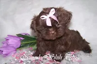 processed/7141b867-a54d-4b8e-96cf-074689e0ba0f/listing/32a16786-65e4-4d54-a844-b72822938515/5a13be11-c60d-4b74-a267-eab8332c3dc0