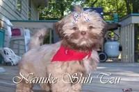 processed/7141b867-a54d-4b8e-96cf-074689e0ba0f/listing/32a16786-65e4-4d54-a844-b72822938515/8e67ffa2-da50-4de8-9efb-4b97b3bfc844