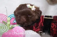 processed/7141b867-a54d-4b8e-96cf-074689e0ba0f/listing/32a16786-65e4-4d54-a844-b72822938515/8f6b38c6-f8b5-470b-a42b-616452b2698e