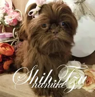 processed/7141b867-a54d-4b8e-96cf-074689e0ba0f/listing/32a16786-65e4-4d54-a844-b72822938515/f1b28ee7-b5b5-43d9-9d10-d589dc2961cc