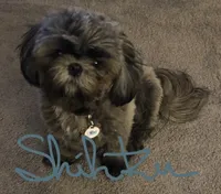 processed/7141b867-a54d-4b8e-96cf-074689e0ba0f/listing/5ae4ed1b-75ed-473d-b53a-c53bb10310be/df65c0a1-7d4a-4d17-a70f-65c13c690f39