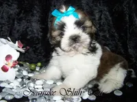 processed/7141b867-a54d-4b8e-96cf-074689e0ba0f/listing/d04386fb-05cd-4b9f-93a2-8e11b20121b2/978b144e-eafd-4558-997a-f02d1c173718