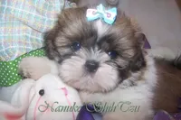 processed/7141b867-a54d-4b8e-96cf-074689e0ba0f/listing/d04386fb-05cd-4b9f-93a2-8e11b20121b2/f6fbfe40-588a-42a6-b9db-bbd1897a3fcc