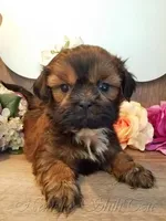 processed/7141b867-a54d-4b8e-96cf-074689e0ba0f/listing/f1e1658c-5b96-4019-8851-68f6e69cfa86/4137b84b-1c6f-480d-9ff6-ebaf72f1d56a