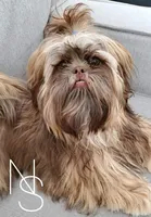 processed/7141b867-a54d-4b8e-96cf-074689e0ba0f/listing/f1e1658c-5b96-4019-8851-68f6e69cfa86/fa8ccda6-c64d-4afc-93d7-fb52317fb1a7