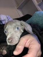 processed/714e5562-cda8-41e9-b76a-f1b0eb351b8f/facility/22c99f1d-af1b-49ad-8f16-c17fb1d7f4a2