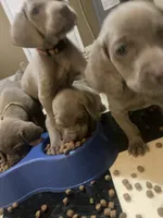 processed/714e5562-cda8-41e9-b76a-f1b0eb351b8f/facility/29569638-ff78-4fab-946e-d3227b437607