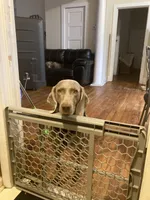 processed/714e5562-cda8-41e9-b76a-f1b0eb351b8f/facility/5670240c-8f9d-480e-a5e2-23db7614dd48