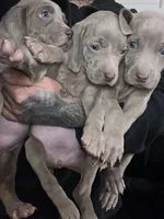 processed/714e5562-cda8-41e9-b76a-f1b0eb351b8f/facility/8123c9a0-c18a-4c2b-b180-3a733689361c