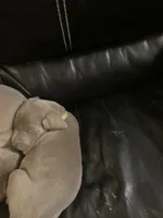 processed/714e5562-cda8-41e9-b76a-f1b0eb351b8f/facility/86e7f4da-ecca-4c36-9b02-f209ff39f1a7