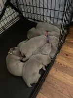 processed/714e5562-cda8-41e9-b76a-f1b0eb351b8f/facility/9c541abc-39fa-4cd4-b2bf-59531bf288ec