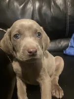 processed/714e5562-cda8-41e9-b76a-f1b0eb351b8f/facility/c5602c48-d437-4d33-8a88-2b8aa4ce0191