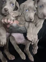 processed/714e5562-cda8-41e9-b76a-f1b0eb351b8f/facility/e20b71bf-be49-410d-9a2b-6a0230f74233