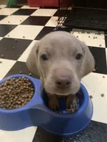 processed/714e5562-cda8-41e9-b76a-f1b0eb351b8f/facility/fdd933c9-92ef-4e16-ad4e-aadec6179cb1