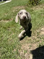 processed/714e5562-cda8-41e9-b76a-f1b0eb351b8f/listing/86d6ec53-4282-4c2b-af6b-c725de947c71/6831ed1d-fe2e-46ec-b377-7c45e0f91642