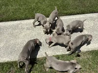 processed/714e5562-cda8-41e9-b76a-f1b0eb351b8f/listing/86d6ec53-4282-4c2b-af6b-c725de947c71/b0ae588c-2f15-4c68-bb71-a1ea15945124