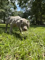 processed/714e5562-cda8-41e9-b76a-f1b0eb351b8f/listing/86d6ec53-4282-4c2b-af6b-c725de947c71/b842a747-a08a-493b-b427-ed1792443755