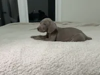 processed/714e5562-cda8-41e9-b76a-f1b0eb351b8f/listing/86d6ec53-4282-4c2b-af6b-c725de947c71/dd1a028f-2e1e-4908-a3d1-2e4ce4302e26