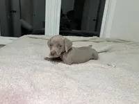 processed/714e5562-cda8-41e9-b76a-f1b0eb351b8f/listing/b03809ce-ee18-4f46-b041-ce5c4e26bc9b/06b49cf7-337d-43ee-8af1-8e8d7803ebc1